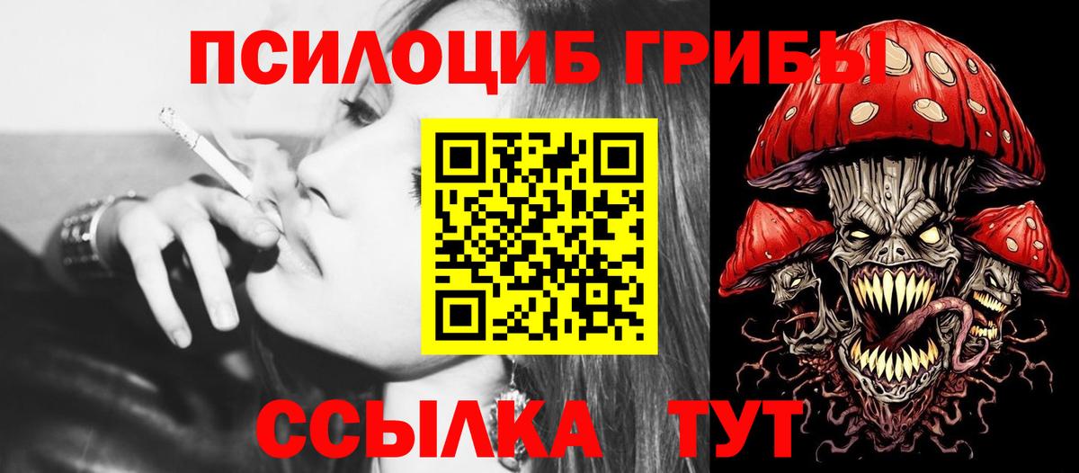 Псилоцибиновые грибы GOLDEN TEACHER Благовещенск
