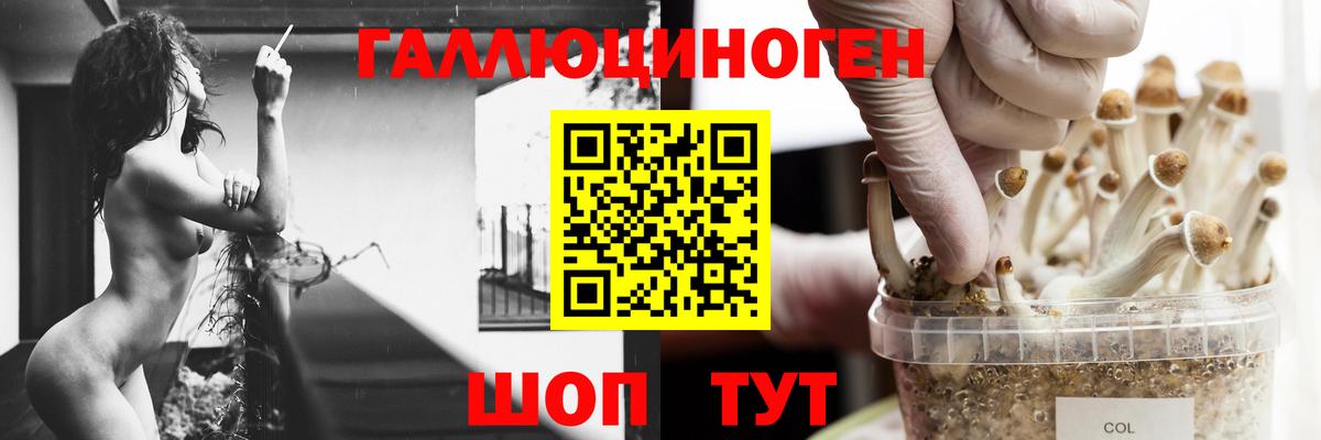 Псилоцибиновые грибы ЛСД  Вход с VPN  Псилоцибиновые грибы ЛСД  Благовещенск 